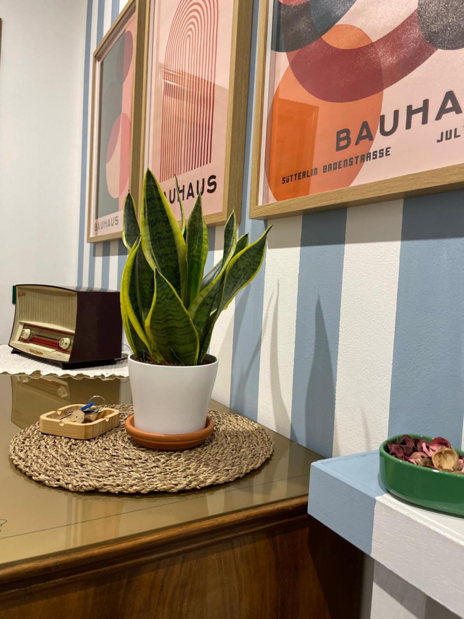 Momi Apartment Chiappa  Екстериор снимка